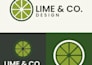 design a professional logo for your business